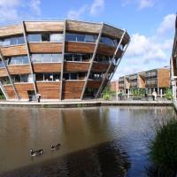 Здания старые, красивые, поля, странные утки размером с бегемота бегают. Здания старые, красивые, поля, странные утки размером с бегемота бегают.