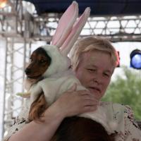 «Студия четвероногих модников» Елены Беляшовой. «Студия четвероногих модников» Елены Беляшовой.