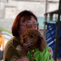 «Студия четвероногих модников» Елены Беляшовой. «Студия четвероногих модников» Елены Беляшовой.