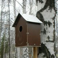 Домики для птиц Домики для птиц