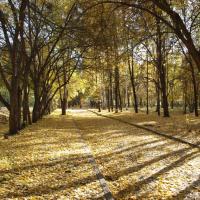 Осень в парке Осень в парке