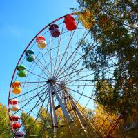 Осень в парке Осень в парке