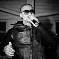 Party Animal Party Animal