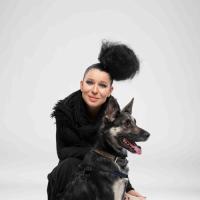 проект «Ищу дом» проект «Ищу дом»