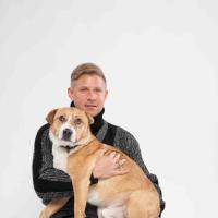 проект «Ищу дом» проект «Ищу дом»