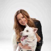 проект «Ищу дом» проект «Ищу дом»