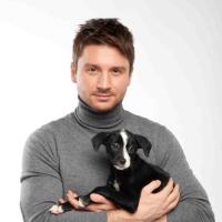 проект «Ищу дом» проект «Ищу дом»